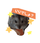 まめちゃんの幸せな毎日（個別スタンプ：4）