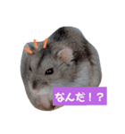 まめちゃんの幸せな毎日（個別スタンプ：5）