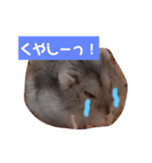 まめちゃんの幸せな毎日（個別スタンプ：6）
