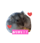 まめちゃんの幸せな毎日（個別スタンプ：8）