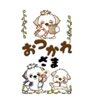 【Big】シーズー犬 80『Baby ＆ 花』（個別スタンプ：14）