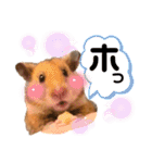 ハム子ですyo（個別スタンプ：2）