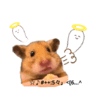 ハム子ですyo（個別スタンプ：10）
