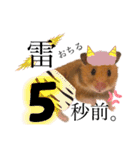 ハム子ですyo（個別スタンプ：16）