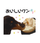 どん太君のスタンプ（個別スタンプ：3）