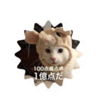 とらねことしろねこの日常系スタンプ3（個別スタンプ：10）