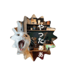 とらねことしろねこの日常系スタンプ3（個別スタンプ：36）