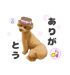 ペニ子☆日常語⑰（個別スタンプ：9）