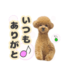 ペニ子☆日常語⑰（個別スタンプ：10）