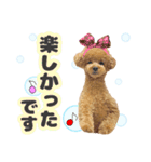 ペニ子☆日常語⑰（個別スタンプ：28）