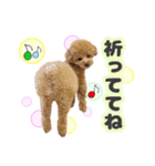 ペニ子☆日常語⑰（個別スタンプ：30）