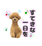 ペニ子☆日常語⑰（個別スタンプ：33）