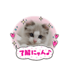 LoveJohnny（個別スタンプ：4）