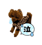うちの可愛い♡そらくんꉂꉂ( ˊᵕˋ )（個別スタンプ：6）