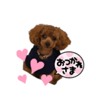 うちの可愛い♡そらくんꉂꉂ( ˊᵕˋ )（個別スタンプ：7）