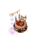 うちの可愛い♡そらくんꉂꉂ( ˊᵕˋ )（個別スタンプ：9）