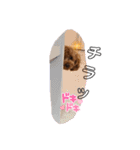 うちの可愛い♡そらくんꉂꉂ( ˊᵕˋ )（個別スタンプ：10）