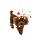 うちの可愛い♡そらくんꉂꉂ( ˊᵕˋ )（個別スタンプ：13）