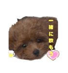 うちの可愛い♡そらくんꉂꉂ( ˊᵕˋ )（個別スタンプ：15）