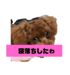 うちの可愛い♡そらくんꉂꉂ( ˊᵕˋ )（個別スタンプ：17）