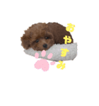 うちの可愛い♡そらくんꉂꉂ( ˊᵕˋ )（個別スタンプ：20）