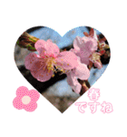 ♡春ですね♡（個別スタンプ：1）