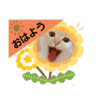 みる むぎ 応援スタンプ（個別スタンプ：1）