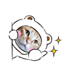 みる むぎ 応援スタンプ（個別スタンプ：2）