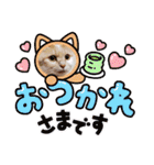 みる むぎ 応援スタンプ（個別スタンプ：17）
