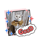 みる むぎ 応援スタンプ（個別スタンプ：31）