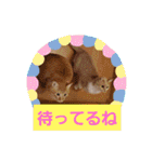 みる むぎ 応援スタンプ（個別スタンプ：32）