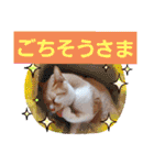 みる むぎ 応援スタンプ（個別スタンプ：33）