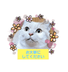 みる むぎ 応援スタンプ（個別スタンプ：36）