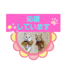 みる むぎ 応援スタンプ（個別スタンプ：37）