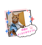 みる むぎ 応援スタンプ（個別スタンプ：38）