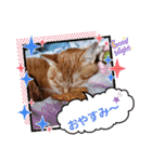 みる むぎ 応援スタンプ（個別スタンプ：39）