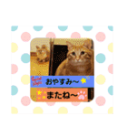 みる むぎ 応援スタンプ（個別スタンプ：40）