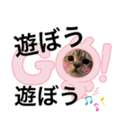 ねこのサスケさん銀次くん（個別スタンプ：1）