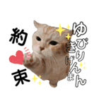 ねこのサスケさん銀次くん（個別スタンプ：20）