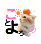 ねこのサスケさん銀次くん（個別スタンプ：30）