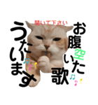 ねこのサスケさん銀次くん（個別スタンプ：31）