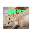 ねこのサスケさん銀次くん（個別スタンプ：32）