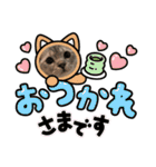 ねこのサスケさん銀次くん（個別スタンプ：40）