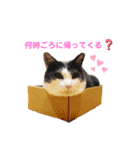 のんびりみつおくん（個別スタンプ：2）