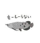 海の生き物たちシュールスタンプ（個別スタンプ：10）