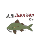 海の生き物たちシュールスタンプ（個別スタンプ：30）