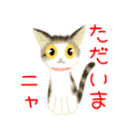 きじ猫のけんしん基本のご挨拶（個別スタンプ：6）