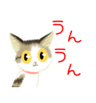 きじ猫のけんしん基本のご挨拶（個別スタンプ：11）