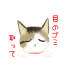 きじ猫のけんしん基本のご挨拶（個別スタンプ：22）