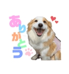 レッボーの『ジュピ』（個別スタンプ：3）